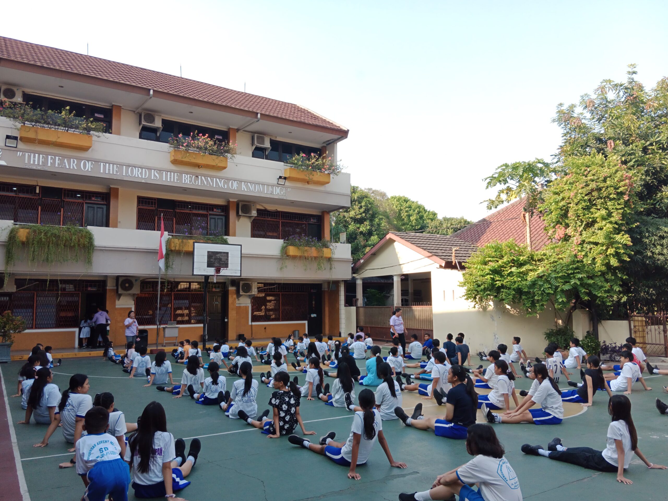 Morning Excercise PAM