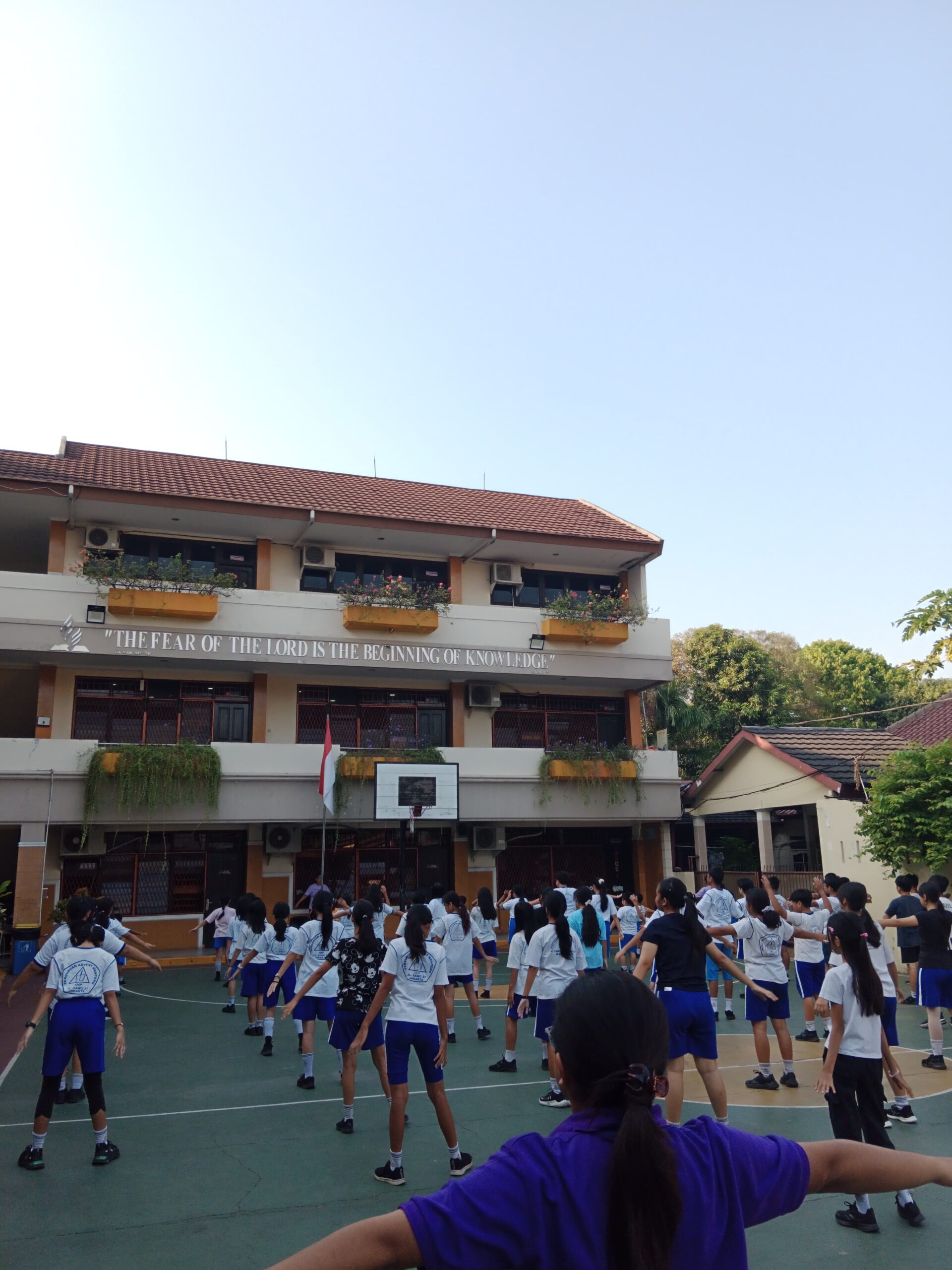 Morning Excercise PAM