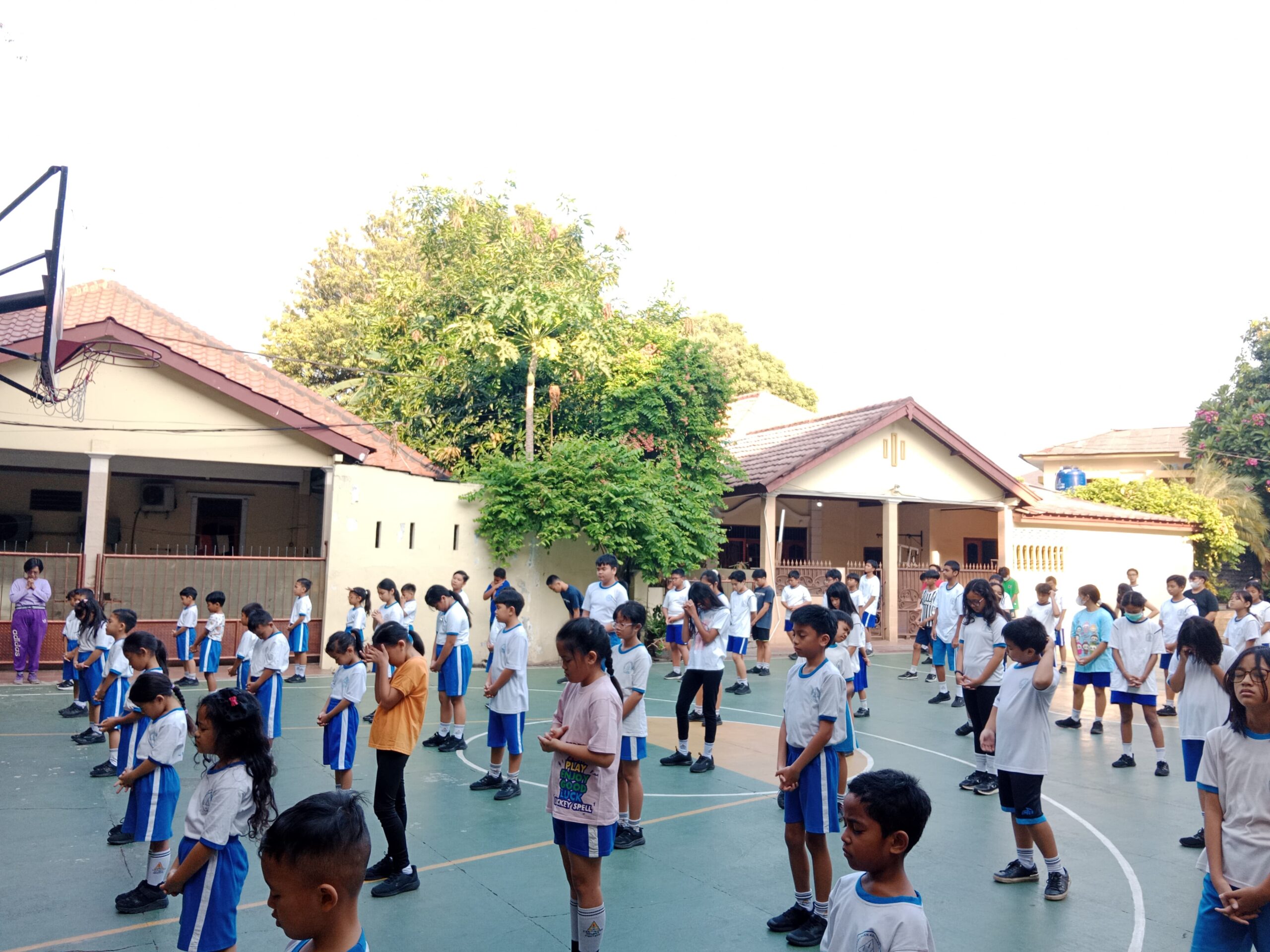 Morning Excercise PAM