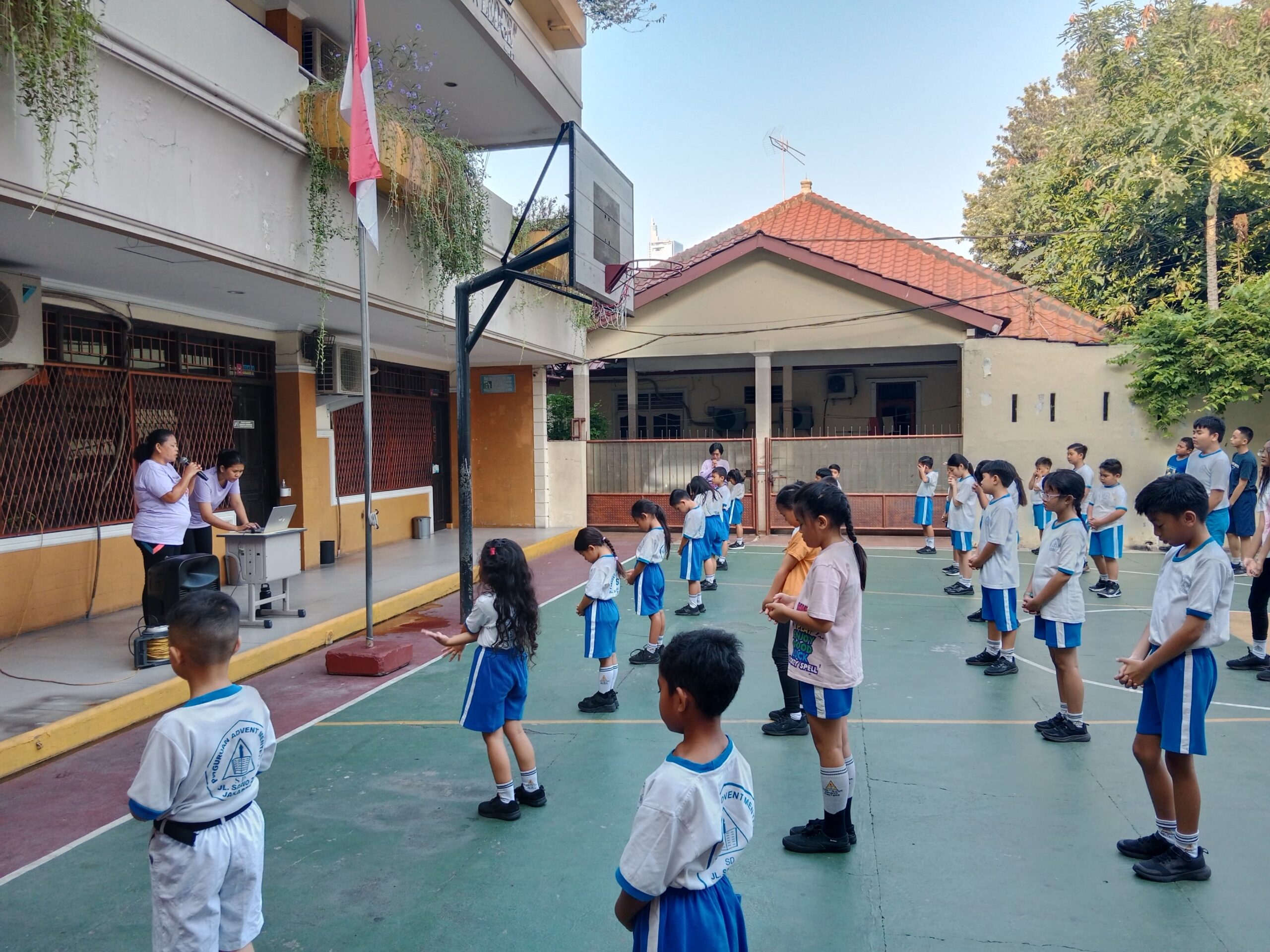 Morning Excercise PAM